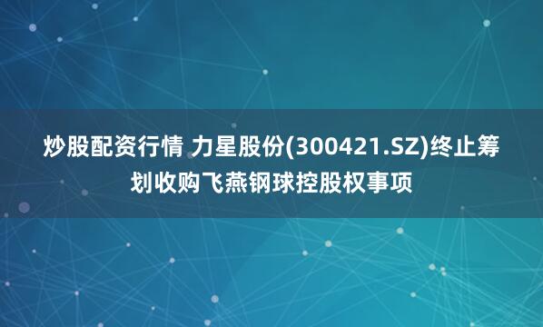 炒股配资行情 力星股份(300421.SZ)终止筹划收购飞燕钢球控股权事项